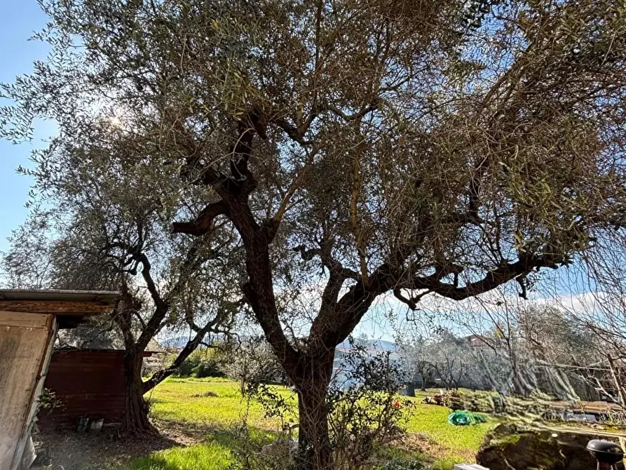 Immagine 36 di Porzione di casa in vendita  a Castelnuovo Magra