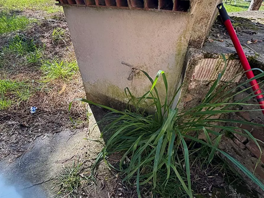 Immagine 38 di Porzione di casa in vendita  a Castelnuovo Magra