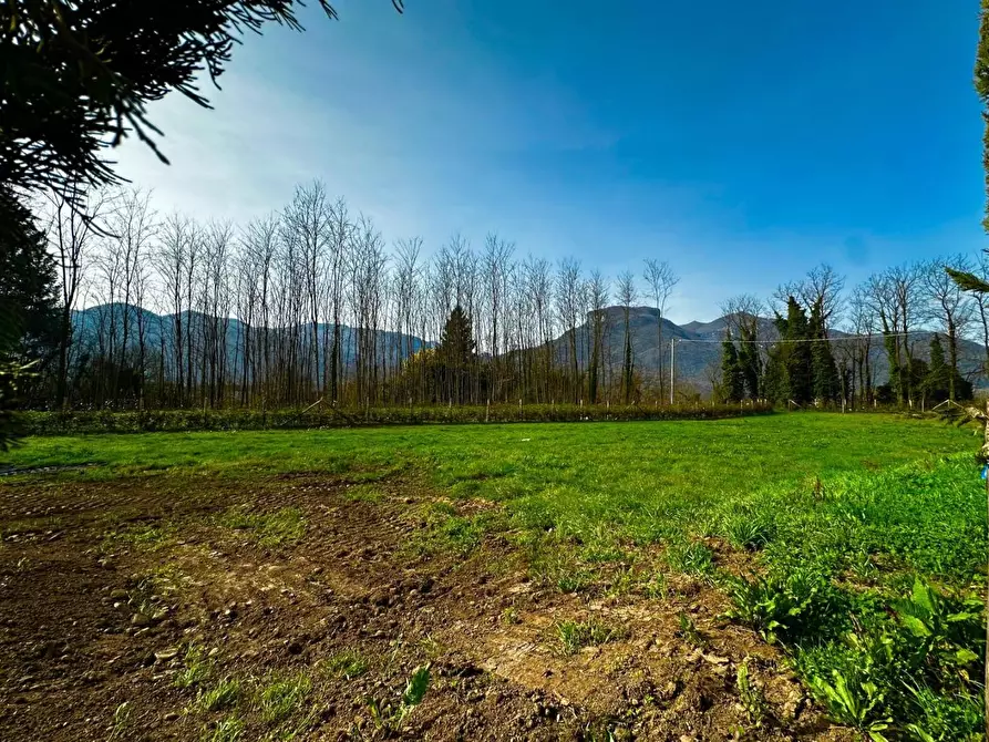 Immagine 25 di Appartamento in vendita  a Coreglia Antelminelli