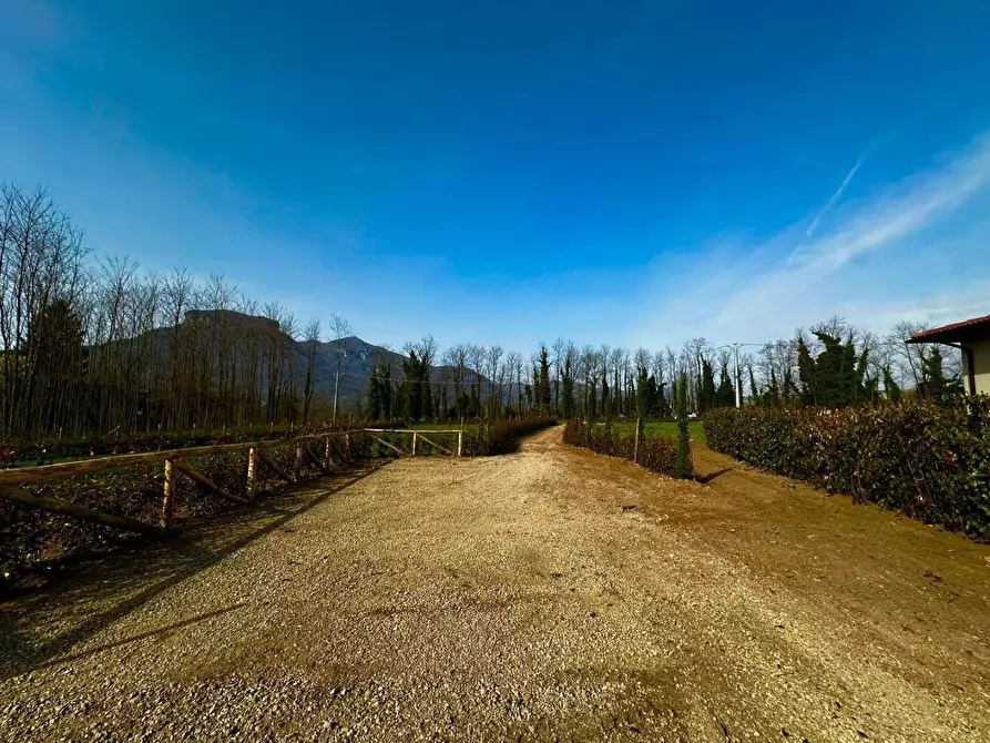 Immagine 24 di Appartamento in vendita  a Coreglia Antelminelli