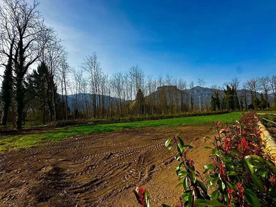 Immagine 26 di Appartamento in vendita  a Coreglia Antelminelli