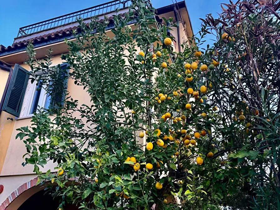 Immagine 31 di Appartamento in vendita  a Massa