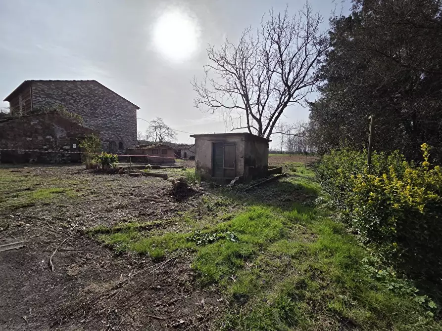 Immagine 24 di Terratetto in vendita  a Capannori