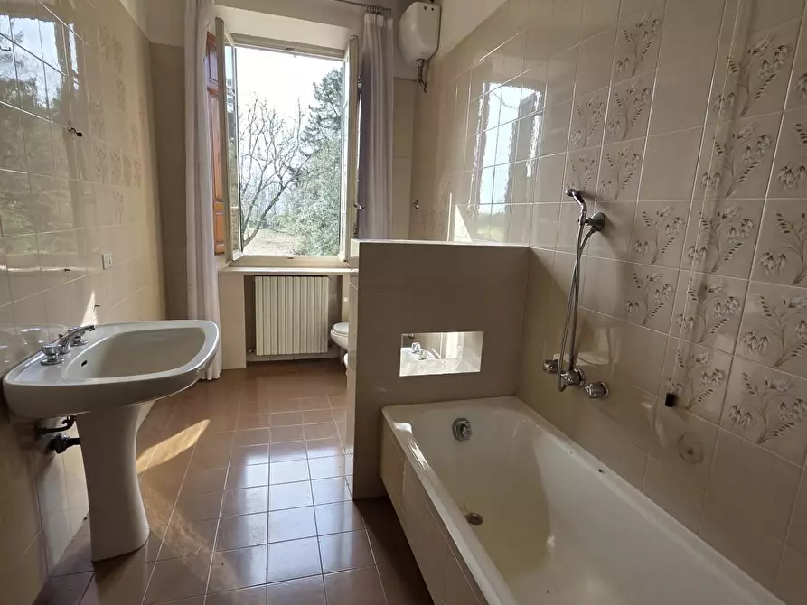 Immagine 12 di Terratetto in vendita  a Capannori