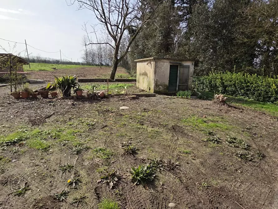 Immagine 3 di Terratetto in vendita  a Capannori