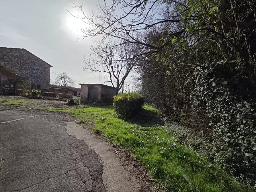 Immagine 11 di Terratetto in vendita  a Capannori