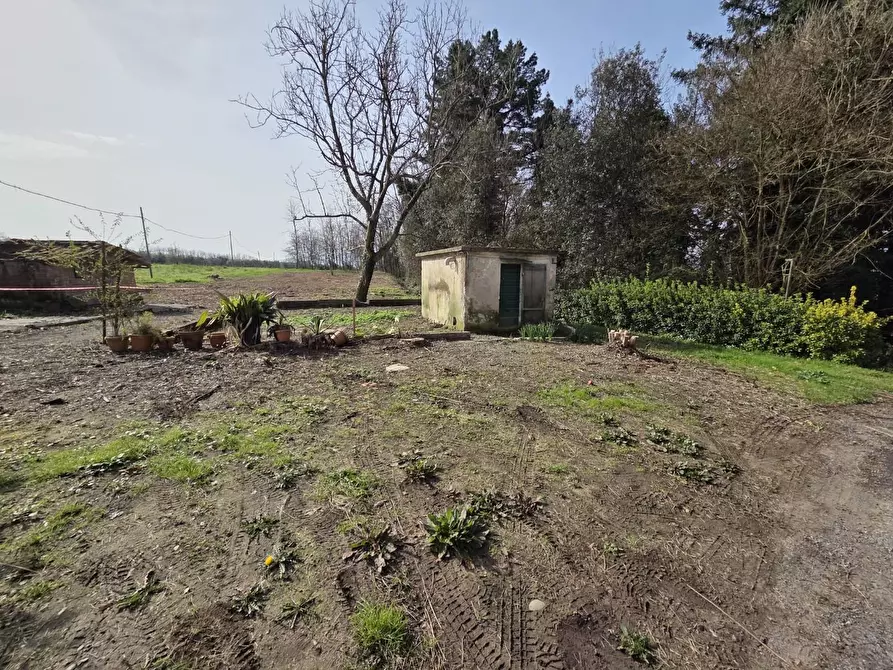 Immagine 38 di Terratetto in vendita  a Capannori