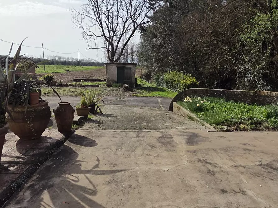 Immagine 21 di Terratetto in vendita  a Capannori