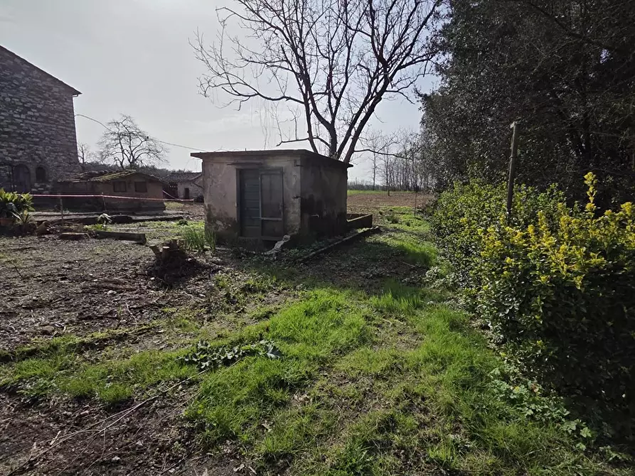 Immagine 40 di Terratetto in vendita  a Capannori