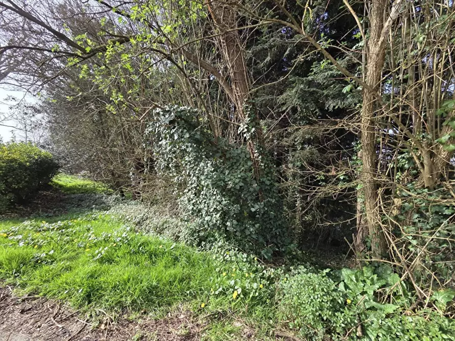 Immagine 22 di Terratetto in vendita  a Capannori