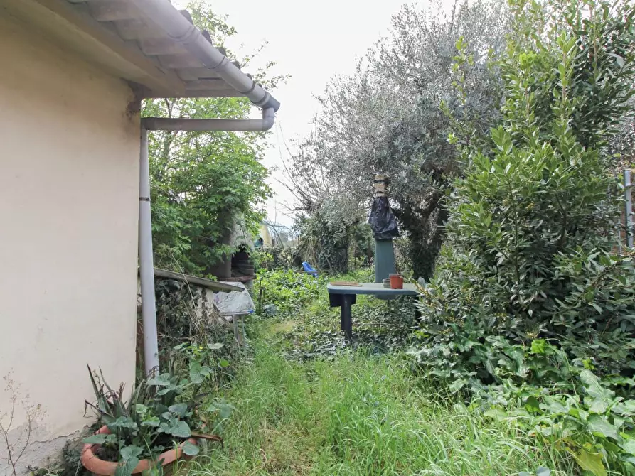 Immagine 18 di Terratetto in vendita  a Cascina