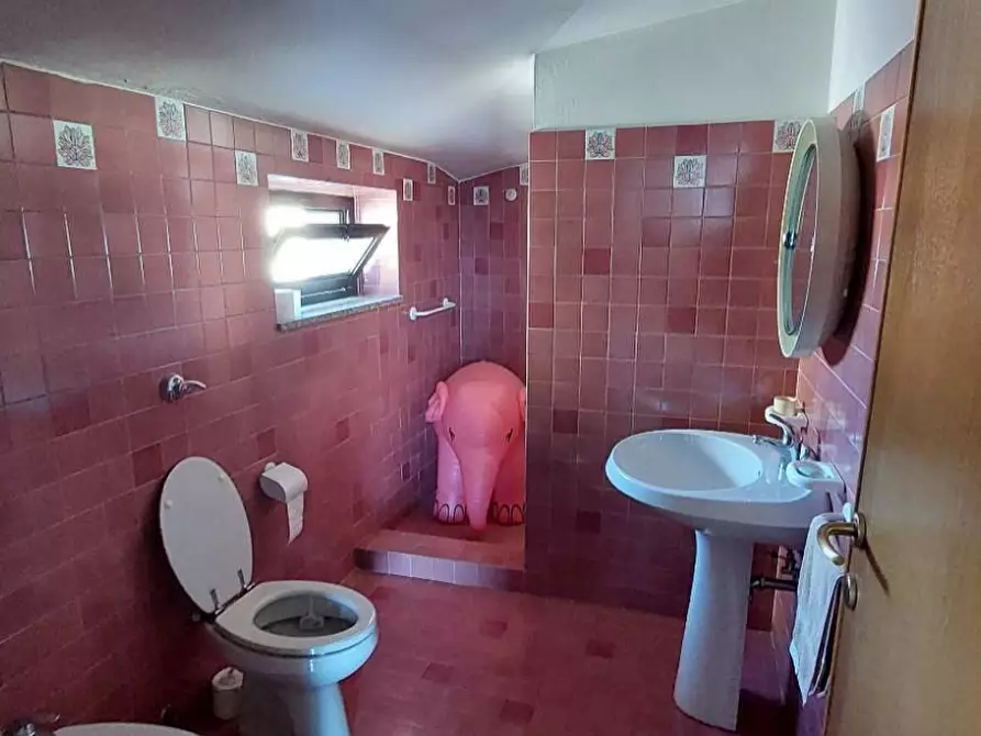 Immagine 39 di Appartamento in vendita  a Villanterio