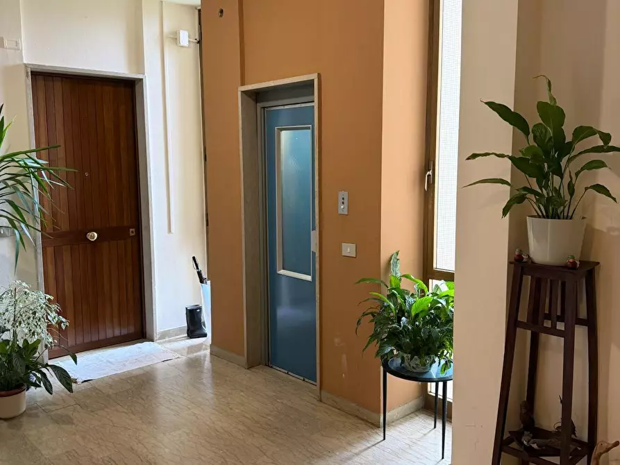 Immagine 3 di Appartamento in vendita  a Camaiore