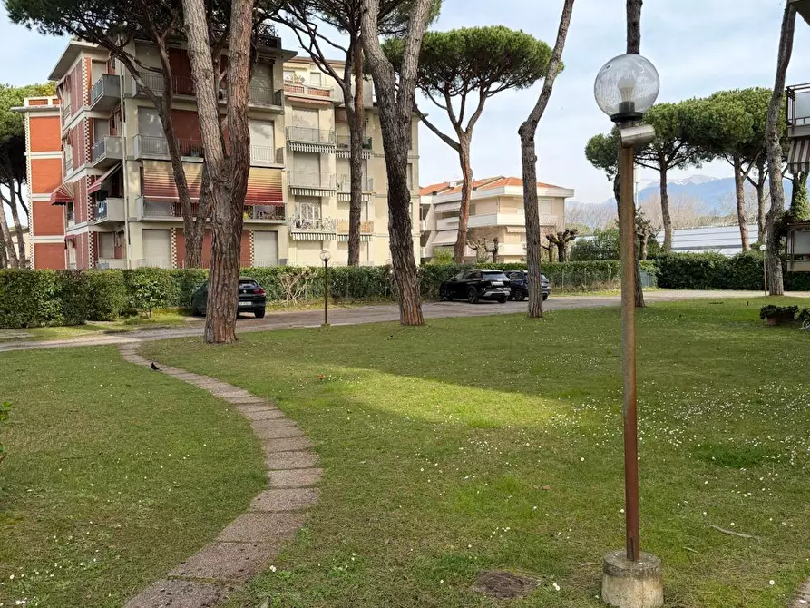 Immagine 6 di Appartamento in vendita  a Camaiore