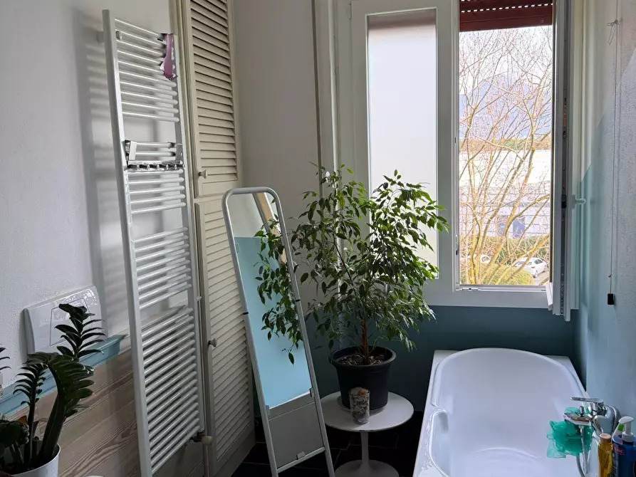 Immagine 19 di Appartamento in vendita  a Camaiore