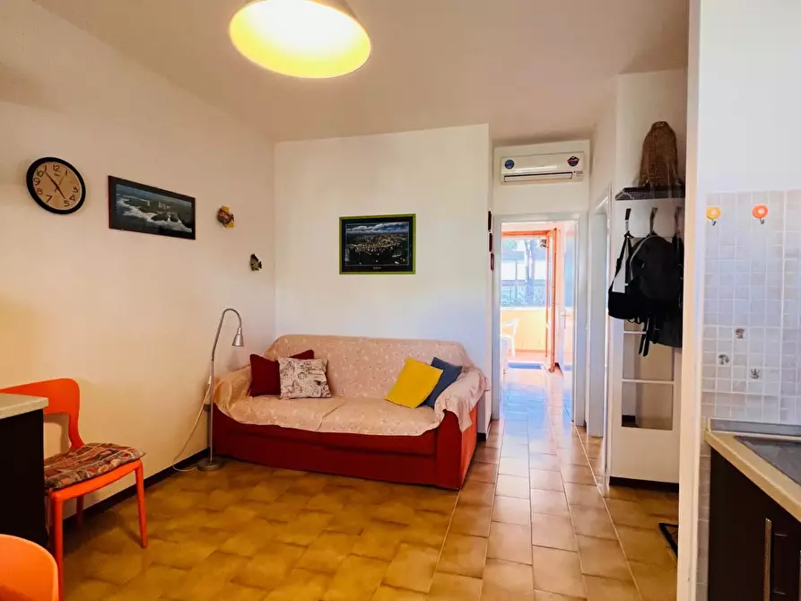 Immagine 3 di Appartamento in vendita  a Bibbona