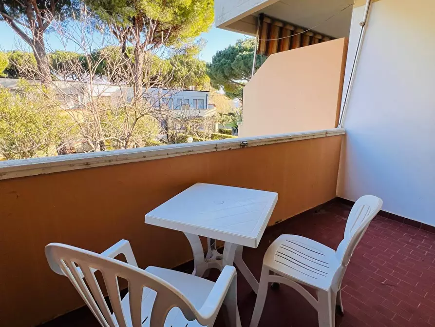 Immagine 5 di Appartamento in vendita  a Bibbona