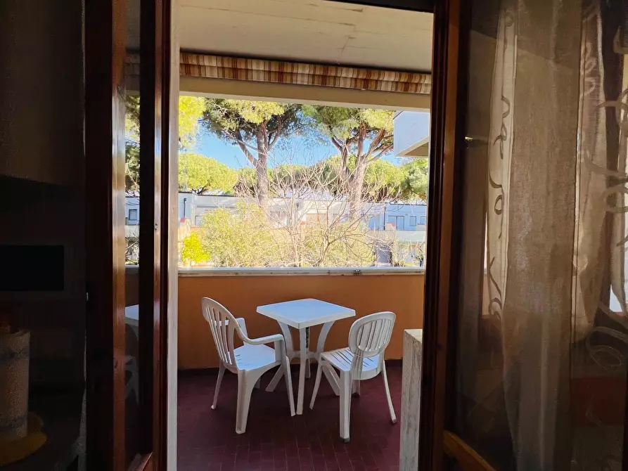 Immagine 4 di Appartamento in vendita  a Bibbona