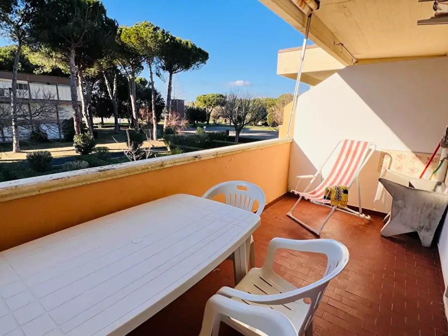 Immagine 8 di Appartamento in vendita  a Bibbona