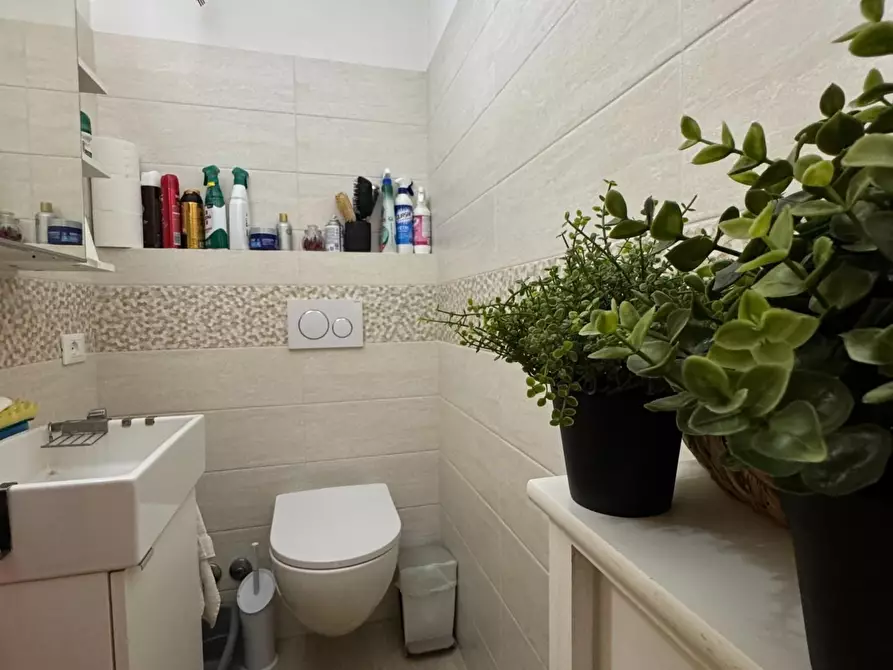 Immagine 33 di Appartamento in vendita  a Viareggio