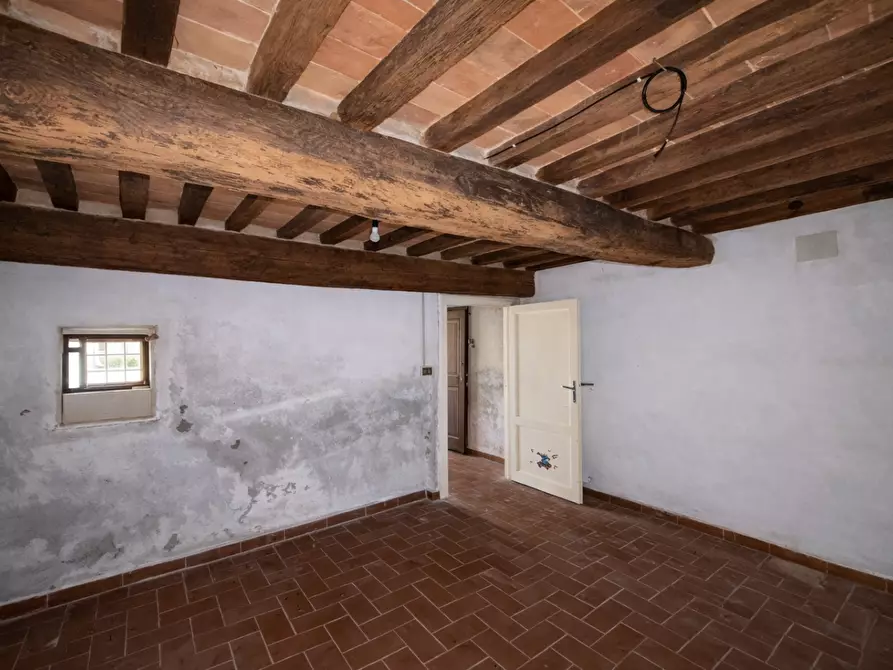 Immagine 23 di Appartamento in vendita  a Lajatico