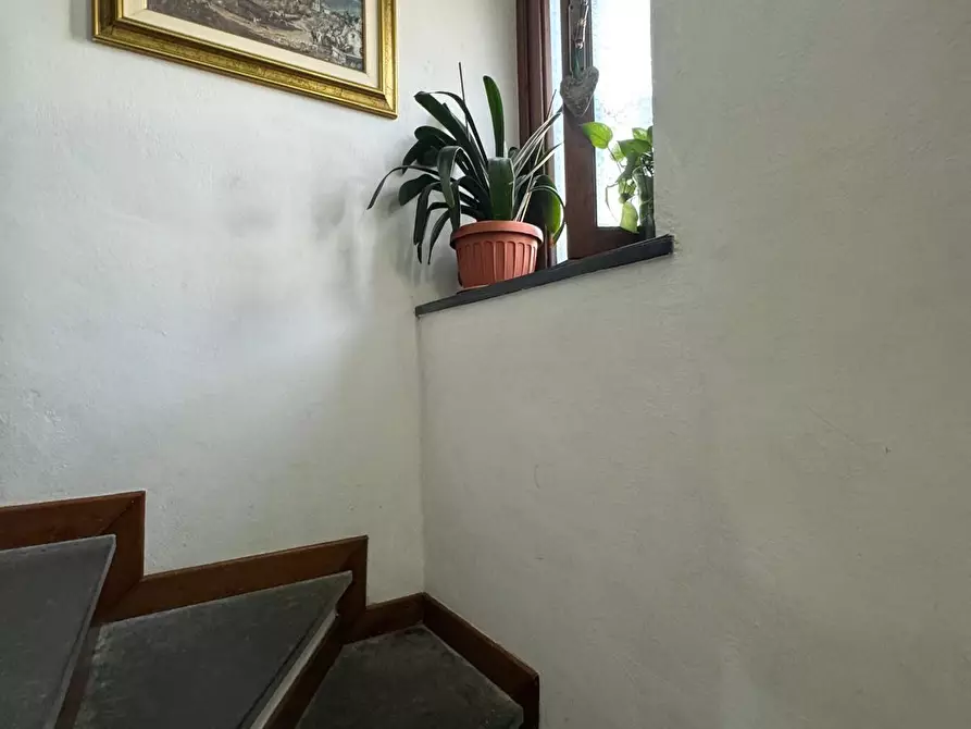 Immagine 29 di Terratetto in vendita  a Capannori