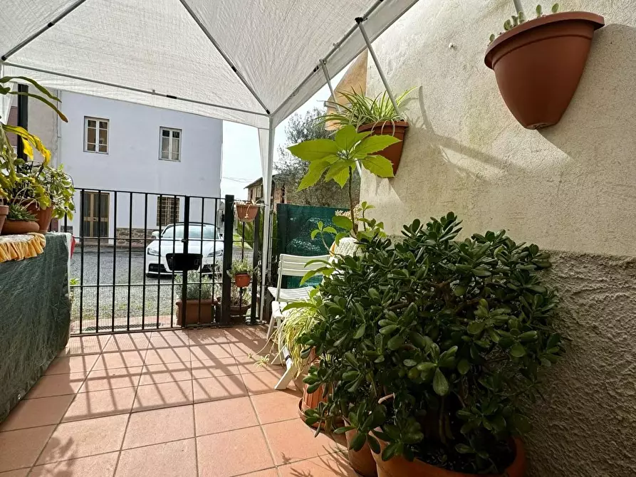 Immagine 26 di Terratetto in vendita  a Capannori