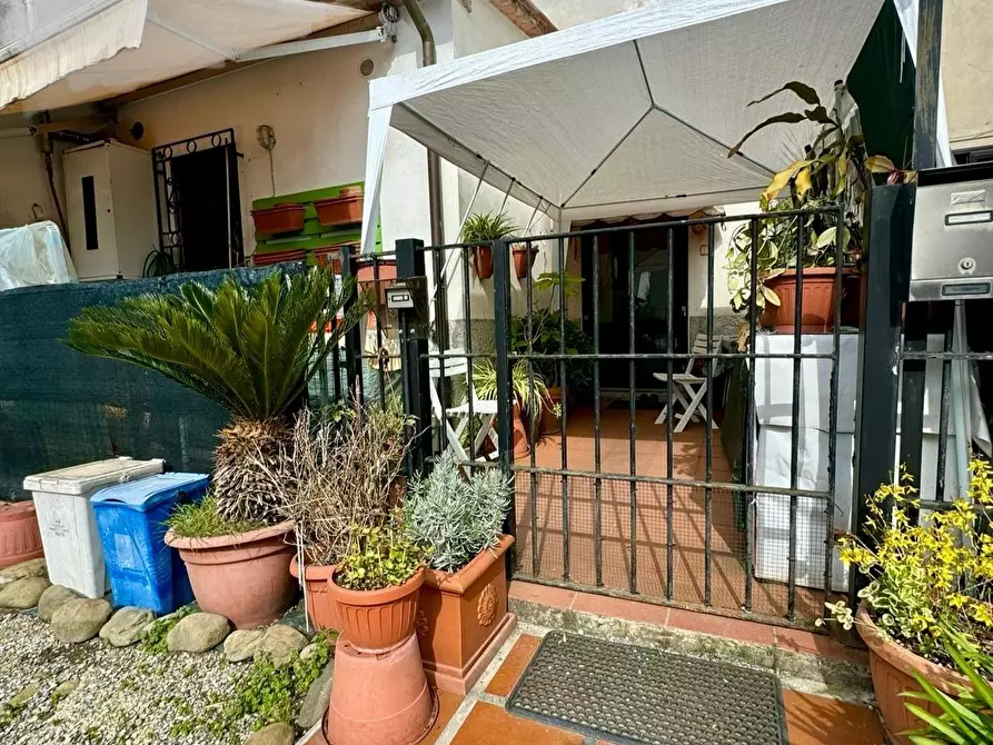 Immagine 25 di Terratetto in vendita  a Capannori