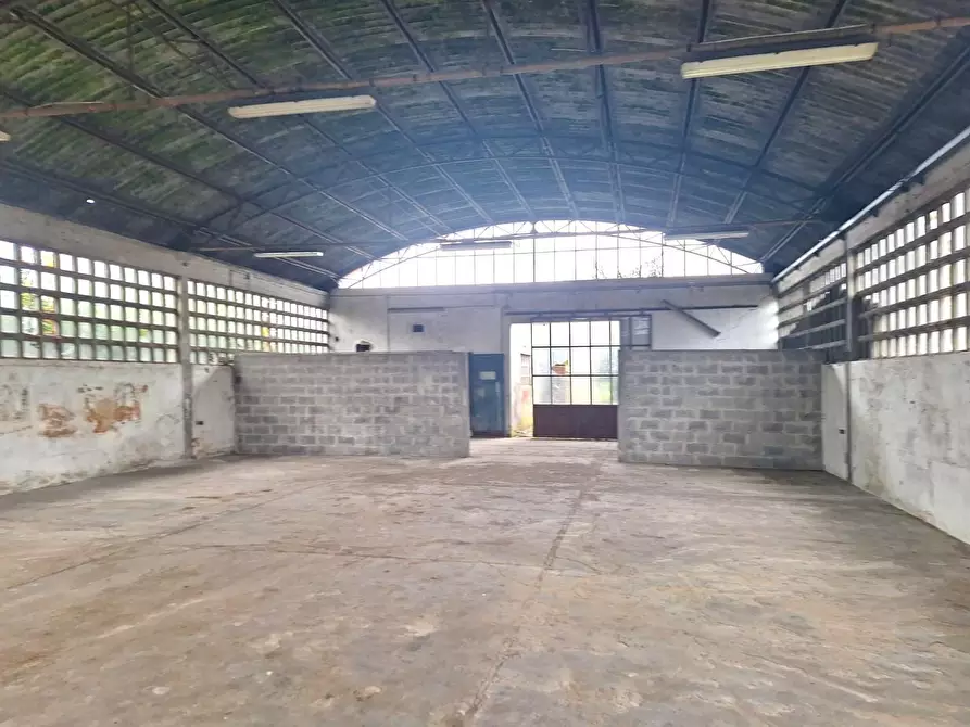 Immagine 2 di Magazzino in affitto  a Capannori