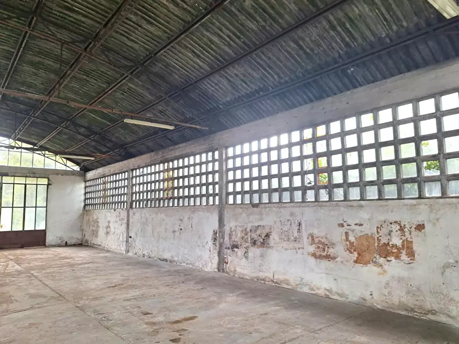 Immagine 3 di Magazzino in affitto  a Capannori