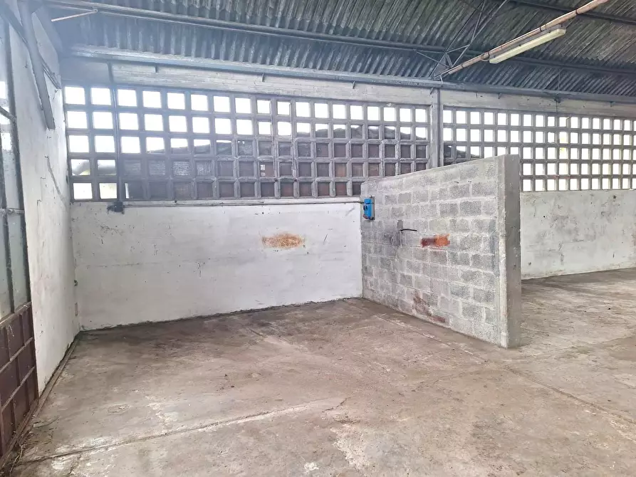 Immagine 4 di Magazzino in affitto  a Capannori