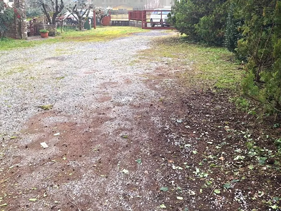 Immagine 10 di Magazzino in affitto  a Capannori