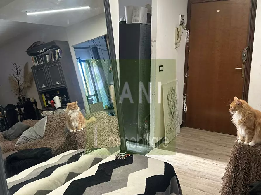 Immagine 5 di Appartamento in vendita  a Livorno