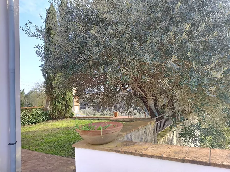 Immagine 4 di Appartamento in vendita  a Montopoli In Val D'arno