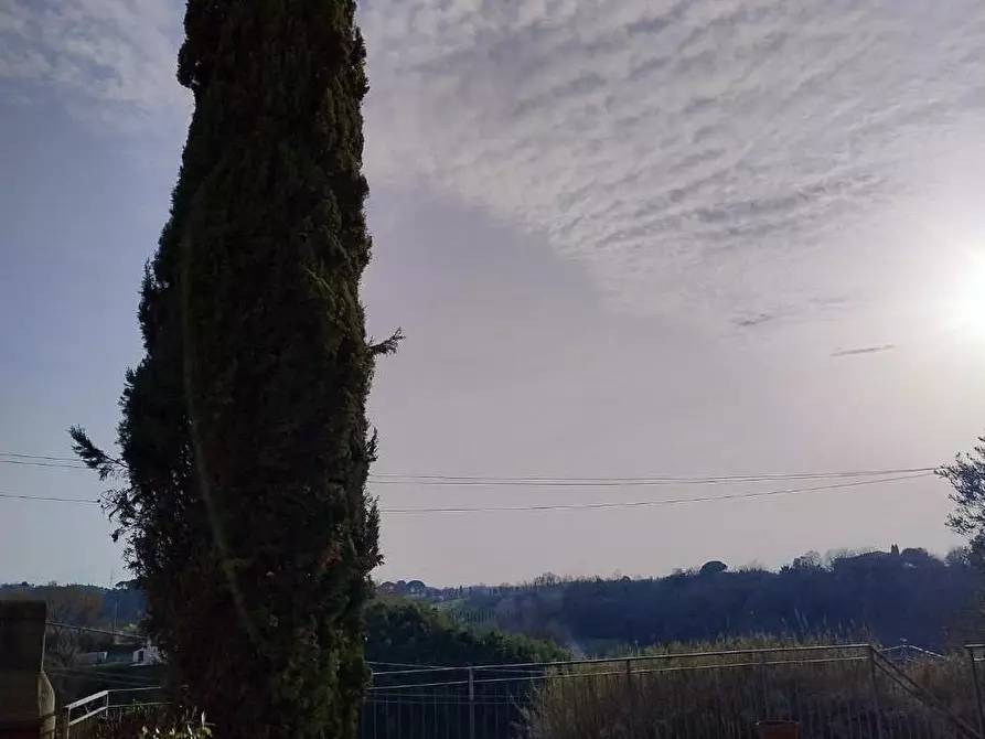 Immagine 3 di Appartamento in vendita  a Montopoli In Val D'arno