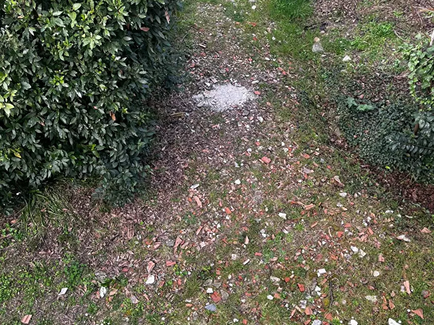 Immagine 18 di Casa indipendente in vendita  a San Giuliano Terme