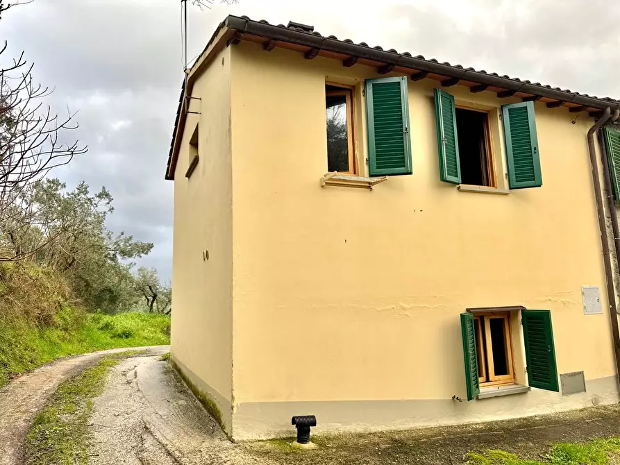 Immagine 4 di Appartamento in vendita  a Vinci