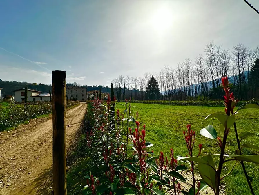 Immagine 20 di Appartamento in vendita  a Coreglia Antelminelli