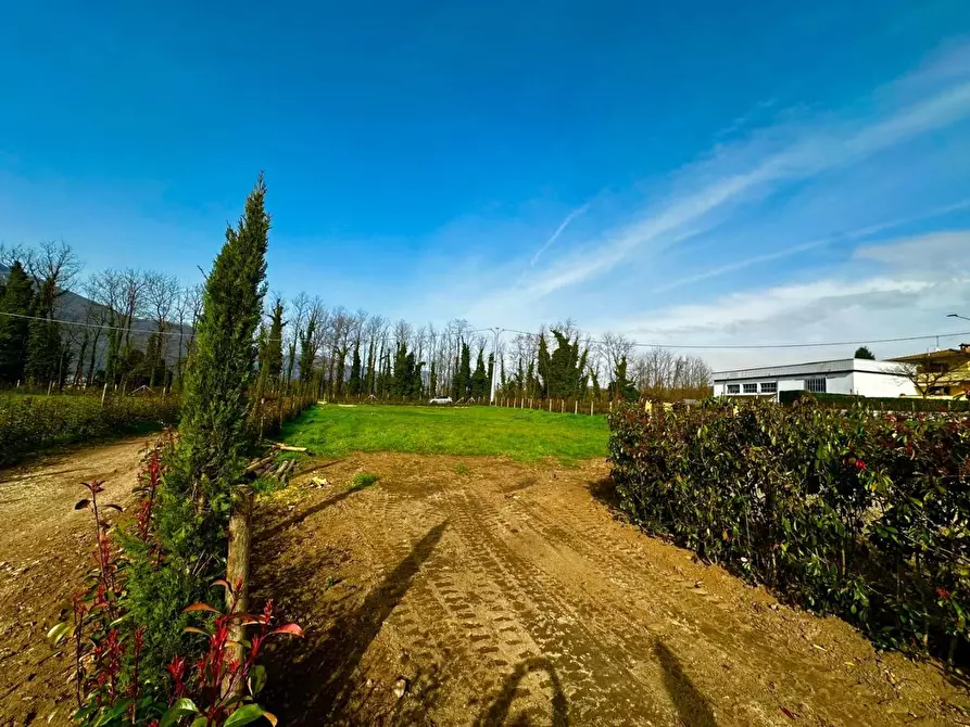 Immagine 19 di Appartamento in vendita  a Coreglia Antelminelli