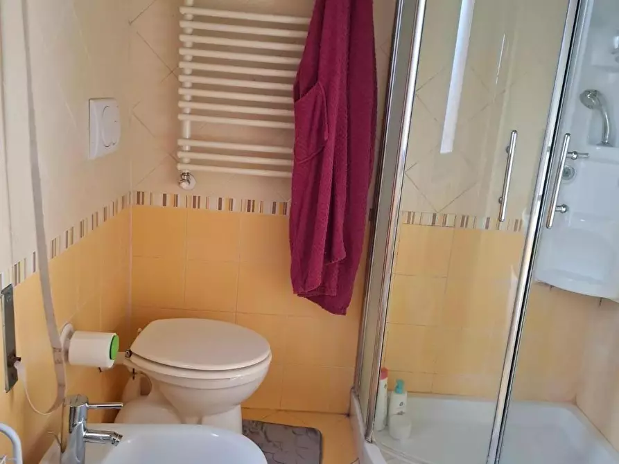 Immagine 13 di Appartamento in vendita  a Pietrasanta