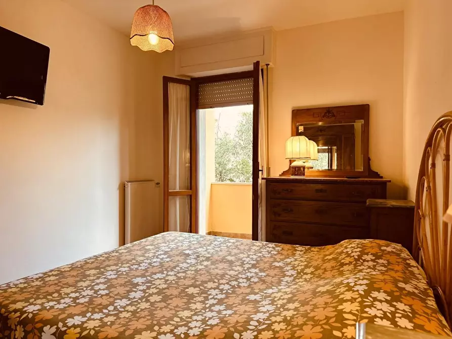 Immagine 22 di Appartamento in vendita  a Rosignano Marittimo