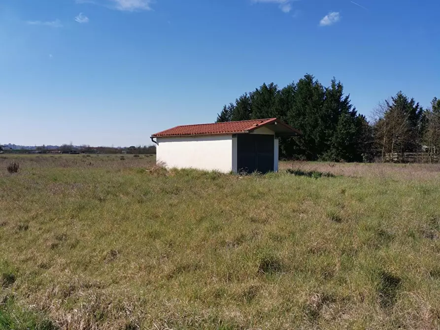Immagine 1 di Terreno agricolo in vendita  a Fucecchio