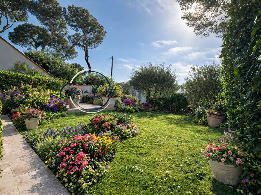 Immagine 2 di Casa bifamiliare in vendita  a Livorno