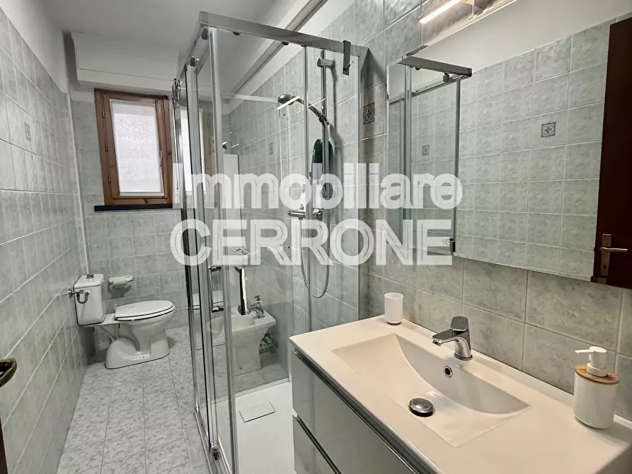 Immagine 13 di Appartamento in affitto  a Cecina