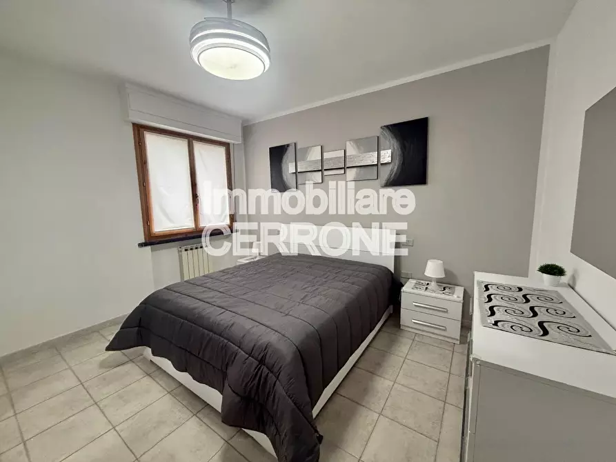 Immagine 8 di Appartamento in affitto  a Cecina