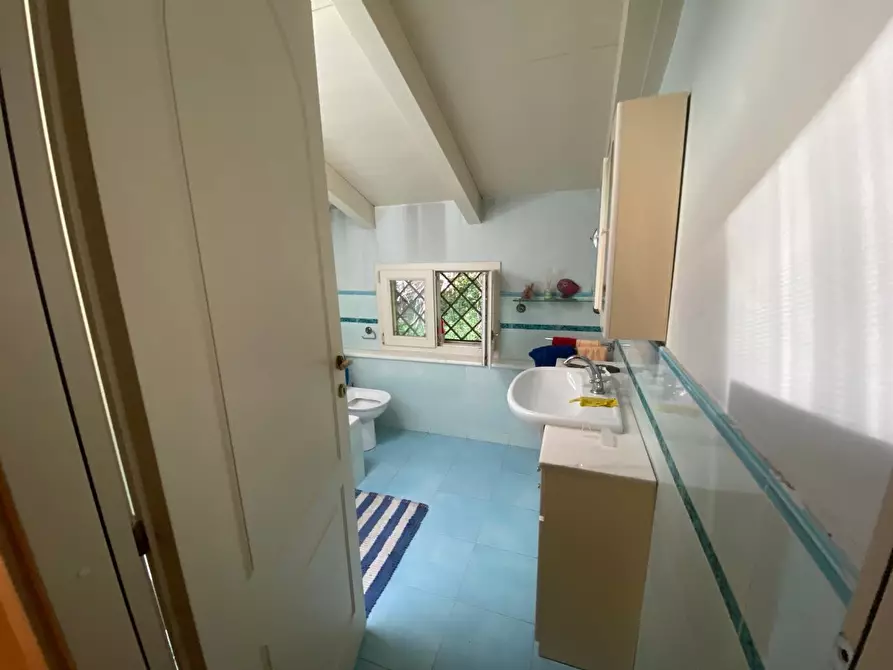 Immagine 9 di Casa colonica in vendita  a Massarosa