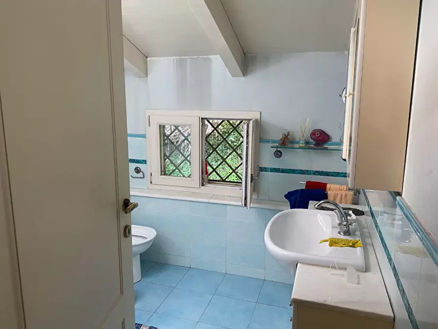 Immagine 8 di Casa colonica in vendita  a Massarosa