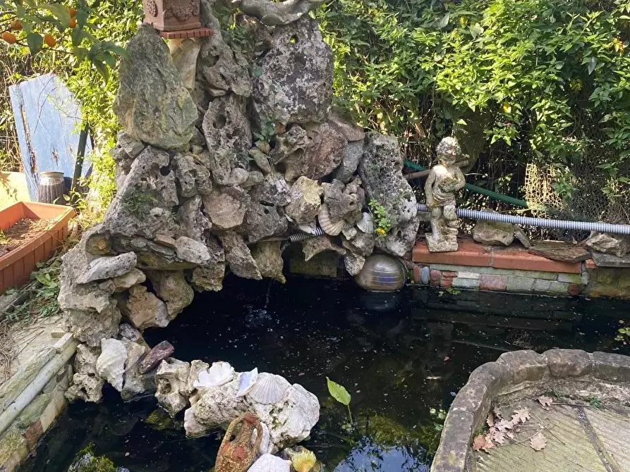 Immagine 56 di Casa colonica in vendita  a Massarosa