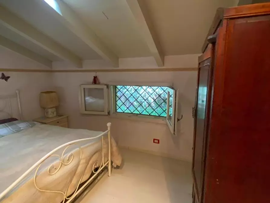 Immagine 24 di Casa colonica in vendita  a Massarosa