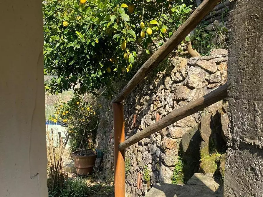 Immagine 4 di Casa colonica in vendita  a Massarosa